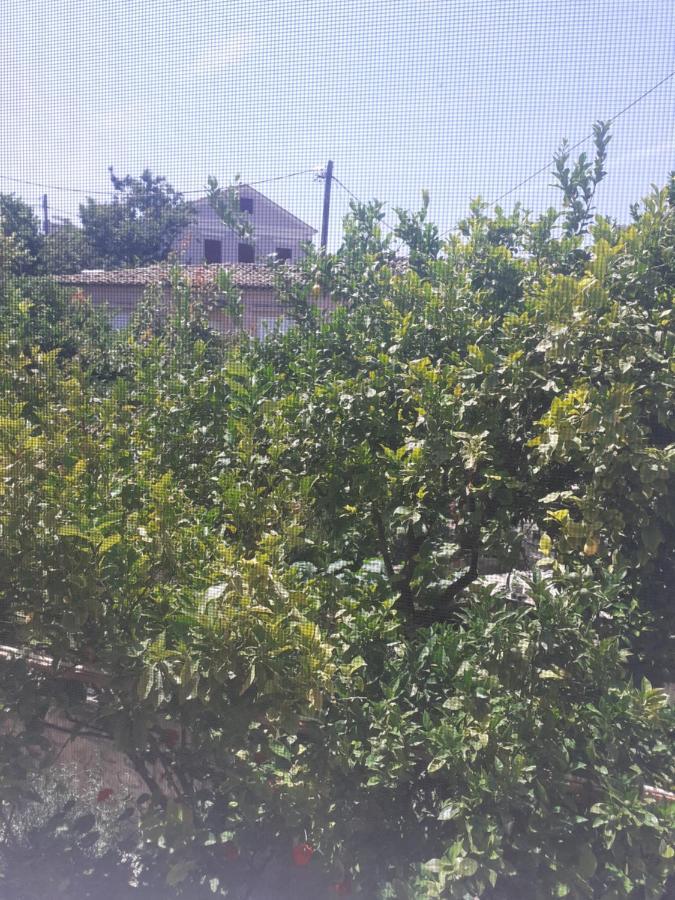 Thalia'S Garden Hotel Mytilene Bagian luar foto