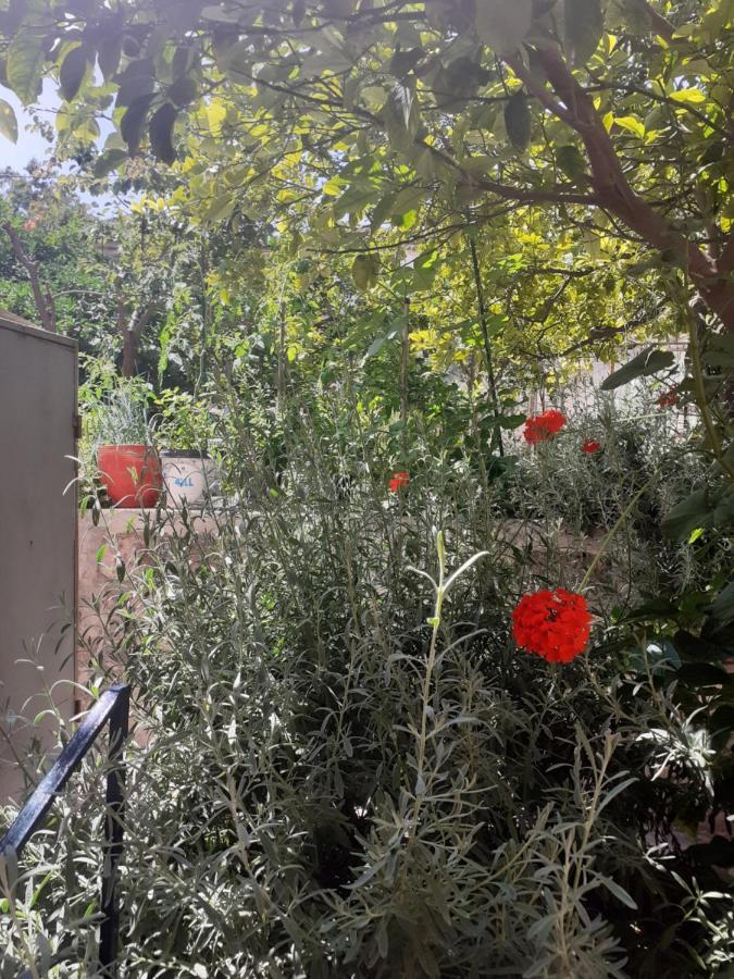 Thalia'S Garden Hotel Mytilene Bagian luar foto